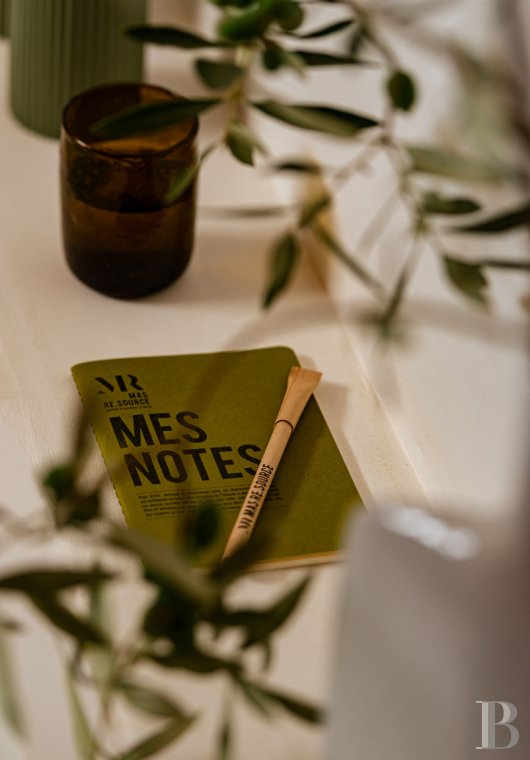 Dans le Gard, en bordure de l’Ardèche, un ancien mas restauré au milieu des oliviers, des vignes et des lavandes - photo  n°14